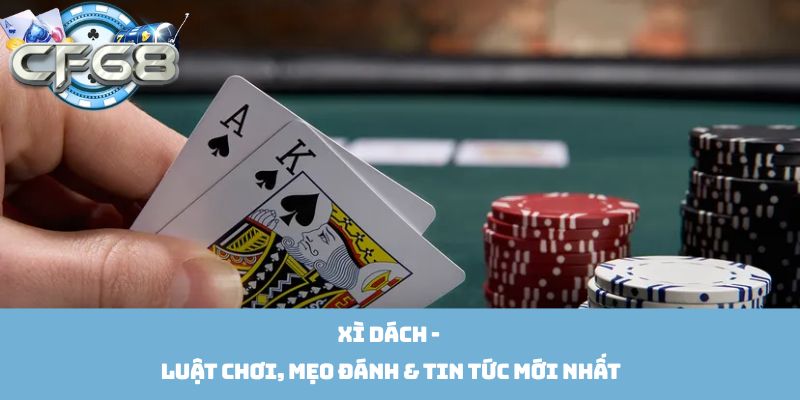 Xì Dách - Luật Chơi, Mẹo Đánh & Tin Tức Mới Nhất